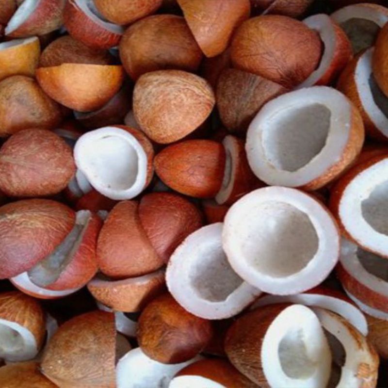 Kopra Putih